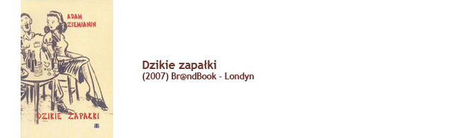 Dzikie zapałki