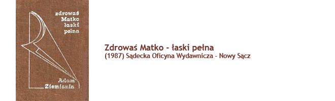 Zdrowaś Matko - łaski pełna